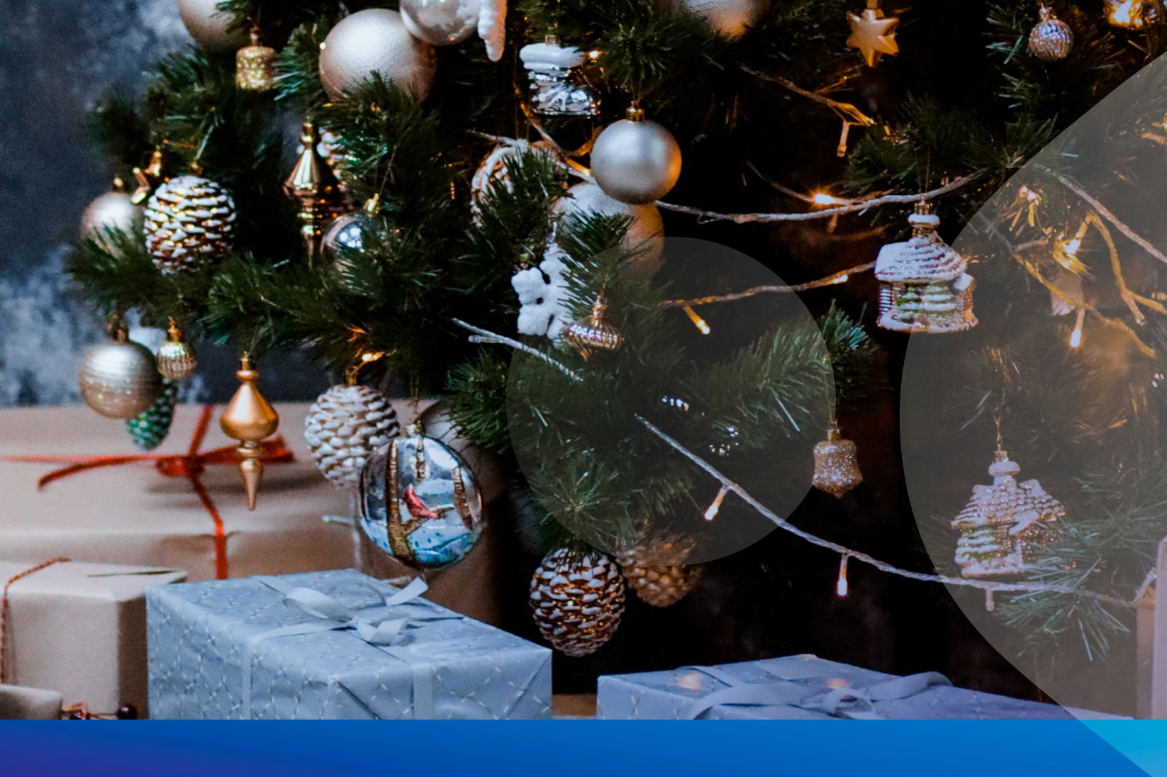 Une bonne nouvelle sous le sapin !