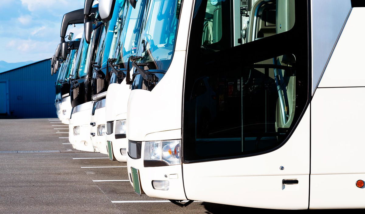 illustration Transport scolaire - Haute-Garonne - Lot 4